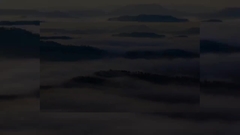 Introducción de la compañía