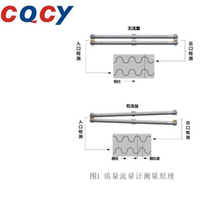 Stable Accurate Coriolis Flow Meter Mass Flowmeter Gas Slurry Media 3mm